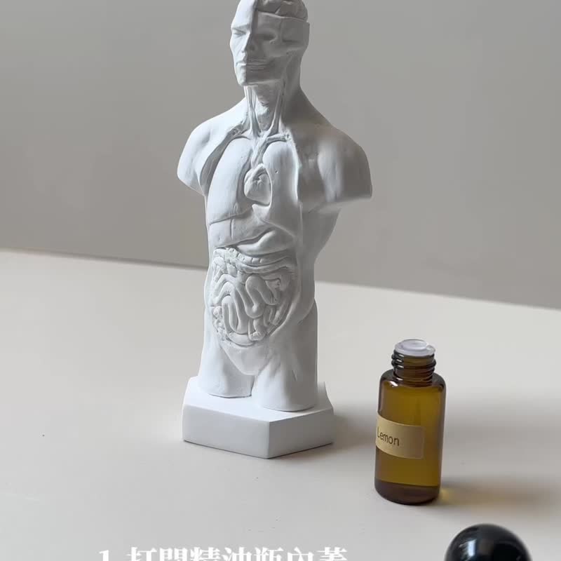 人體解剖擴香石Aroma stone聖誕禮盒組 附贈1ml香氛精油 - 香氛/精油/擴香 - 其他材質 白色