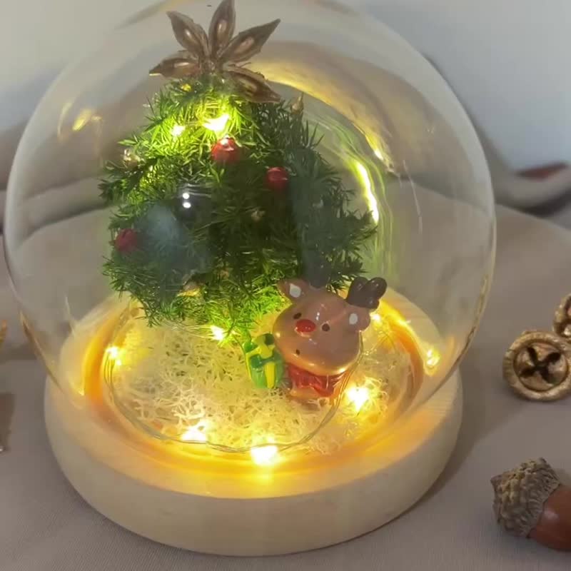 Reindeer Adventure Christmas Gift Exchange Gift Glass Ball Night Light - Dried Flowers & Bouquets - Plants & Flowers Green