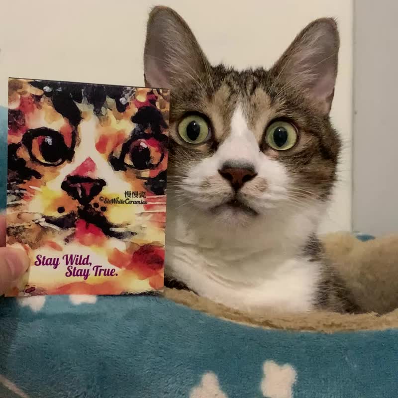 貓咪空白便條紙 - 便條紙/便利貼 - 紙 橘色