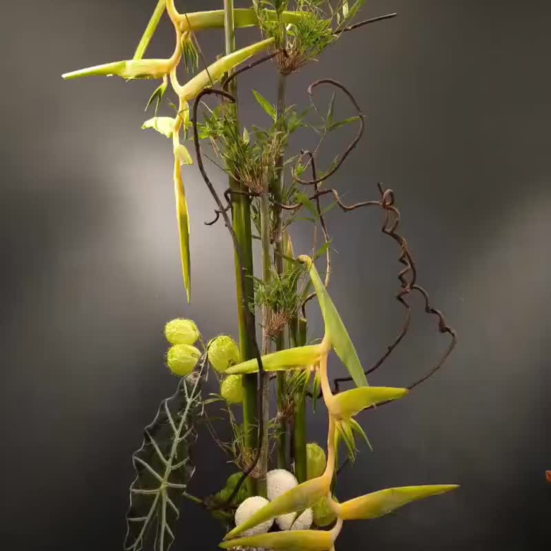 花藝色彩學及創作設計系列課程之花藝色彩學入門初階課 - 植栽/花藝 - 植物．花 