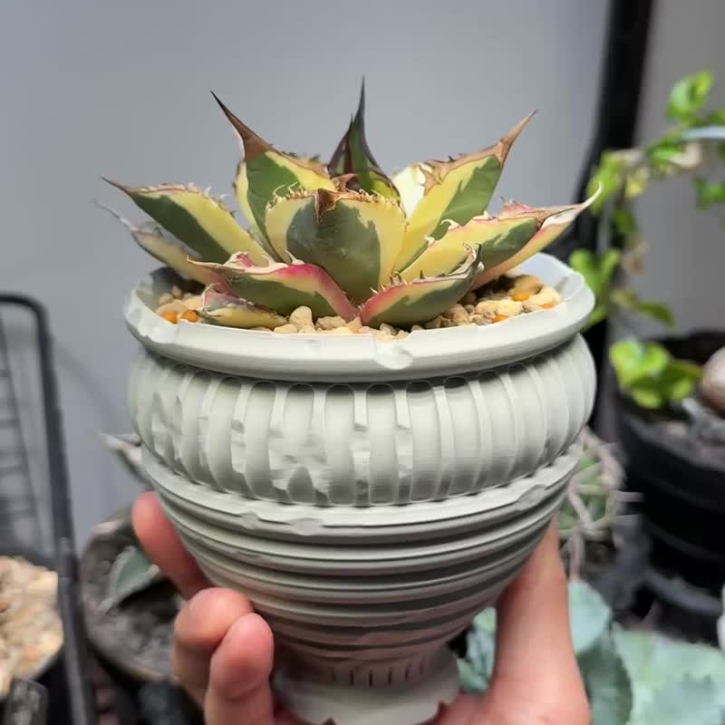 CBP010 植木鉢 オリジナルデザイン/3Dプリント/多肉塊根植物/鉢植え/ギフト - 観葉植物 - プラスチック ブラック