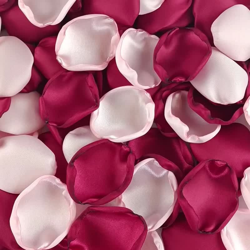 Burgundy blush pink petals Wine rose petals Blush flower petals Burgundy wedding - 乾燥花/永生花 - 絲．絹 