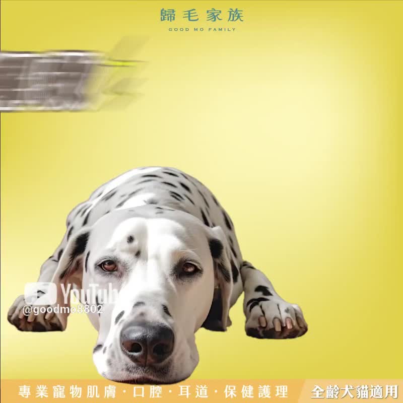 【歸毛家族】Good寶系列寵物保健品－舒壓寶1入組 - 其他 - 其他材質 