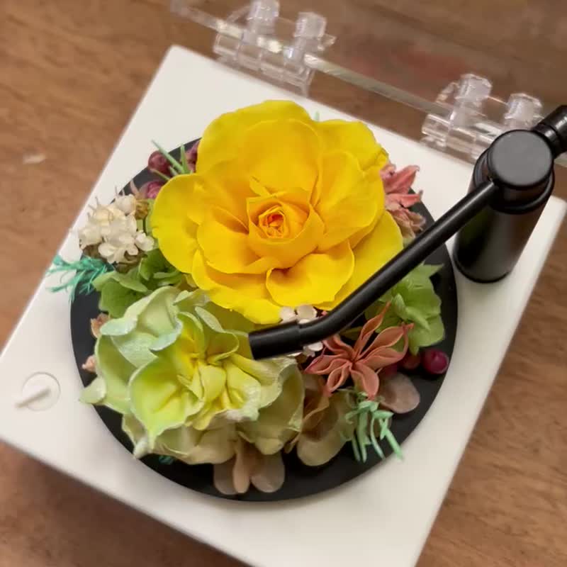 永生花 藍芽音響播放器 黑膠造型 - 乾燥花/永生花 - 植物．花 