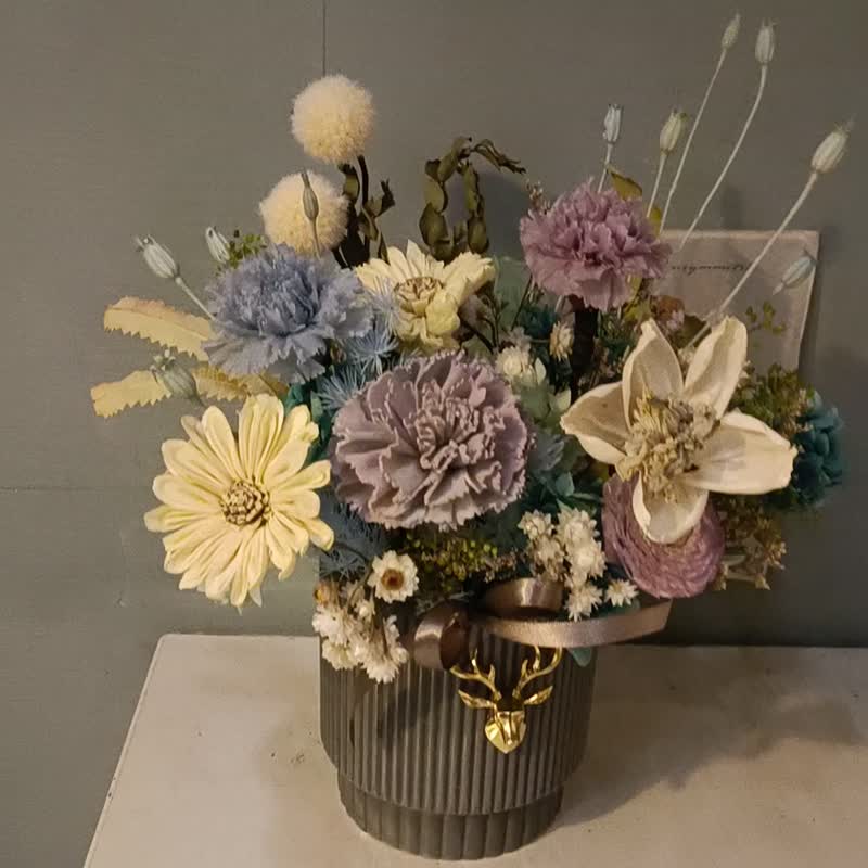 綠野仙蹤 - 乾燥花/永生花 - 植物．花 