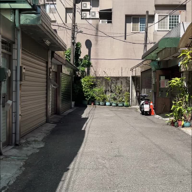 【客制】達摩不倒翁- 柿子/貓咪鬍鬚收集器/貓咪臉訂製 - 擺飾/家飾品 - 羊毛 橘色