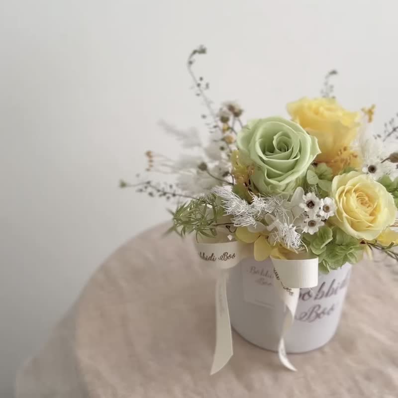【永生玫瑰花盆花】• 情人節禮物/生日禮物/永生花/永生玫瑰花 - 乾燥花/永生花 - 植物．花 綠色