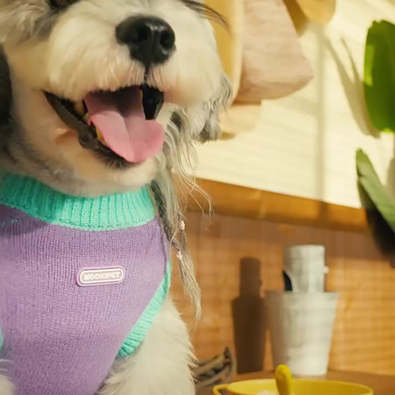 mookipet貓咪狗狗毛衣背心馬爾濟斯約克夏小型犬寵物衣服 - 寵物衣服 - 其他材質 多色