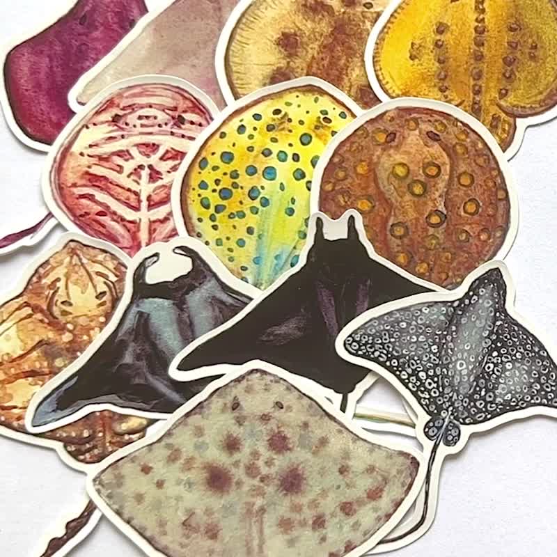 【Manta】Manta Stingray Waterproof Suitcase PDA Stickers Full Set of 13 Sheets - Stickers - Paper Multicolor