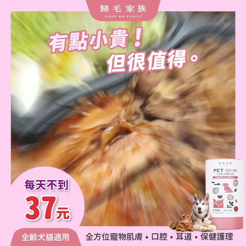 【歸毛家族】Good寶系列寵物保健品－美膚寶2入組(二代升級) - 其他 - 其他材質 