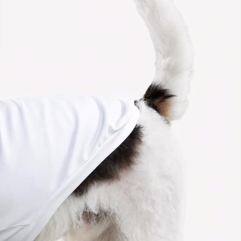 bump up【Com-Fit】瑜伽高彈小高領打底寵物狗狗衣服 - 寵物衣服 - 其他人造纖維 黑色