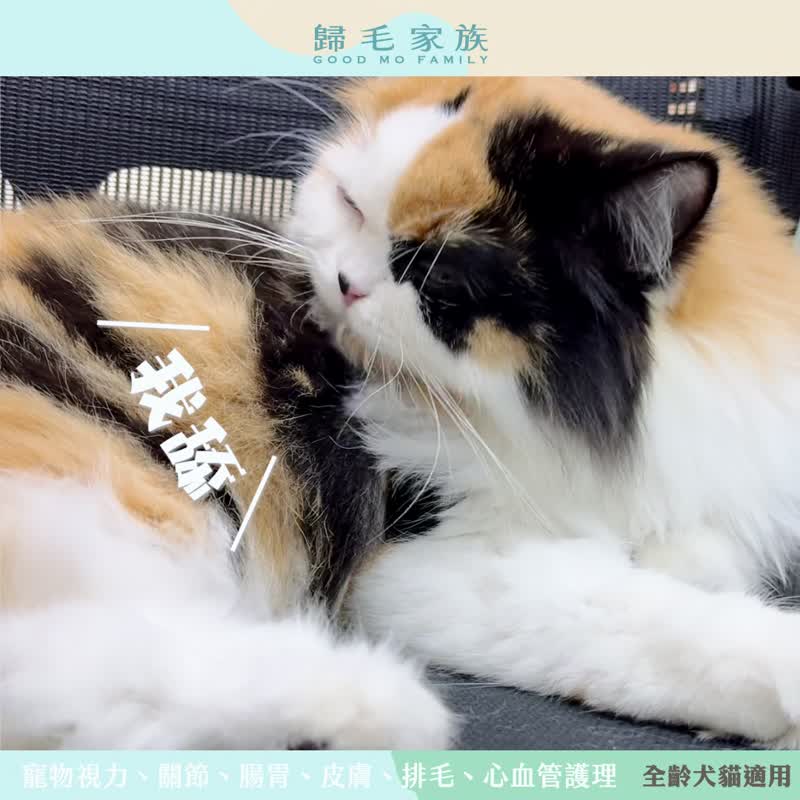 [Return to the Mao Family] Goodbao series of pet health care products - Paimaobao 1 is included in the group - Other - Other Materials 