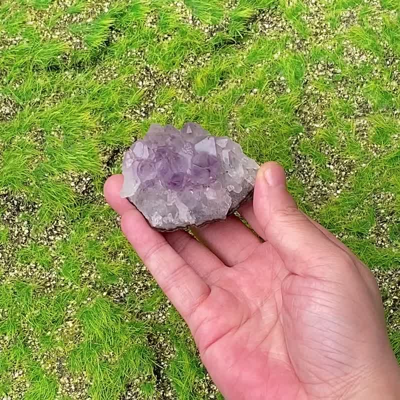 招財開運-天然原皮原礦幾何夢幻紫晶簇 紫水晶 消磁淨化 快速出貨 - 擺飾/家飾品 - 水晶 紫色