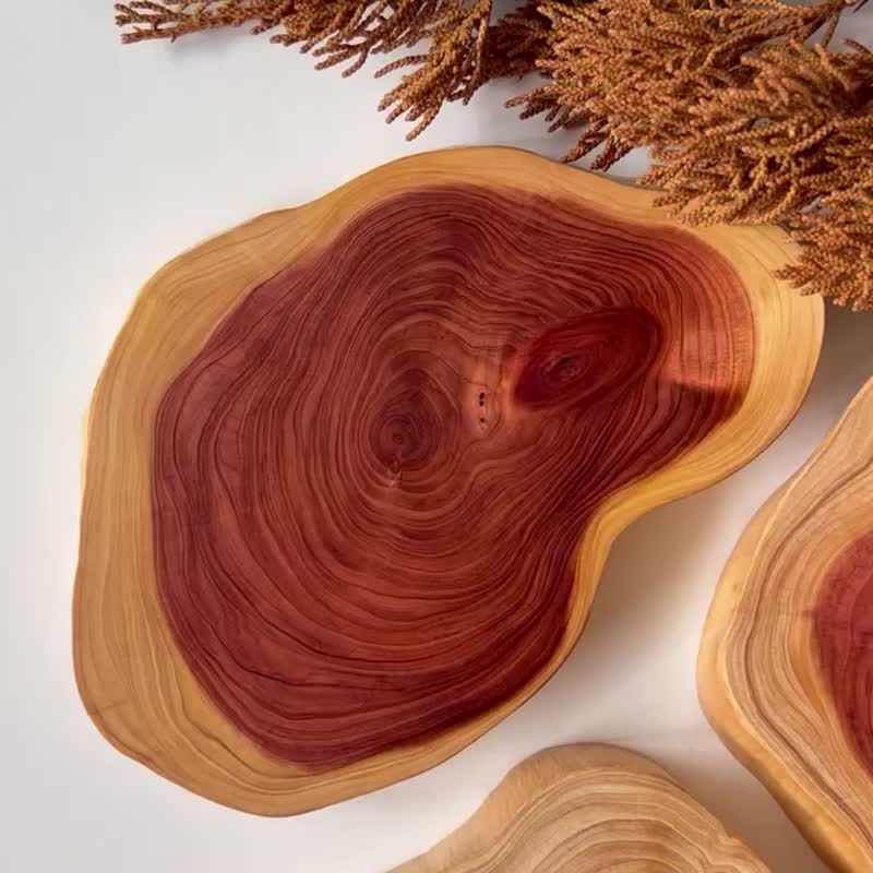 Taiwanese cypress log natural shape coaster - emitting woody fragrance/Christmas gift - ที่รองแก้ว - ไม้ 