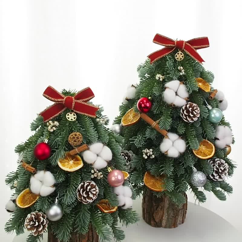 Handmade Christmas tree decoration workshop - จัดดอกไม้/ต้นไม้ - พืช/ดอกไม้ 