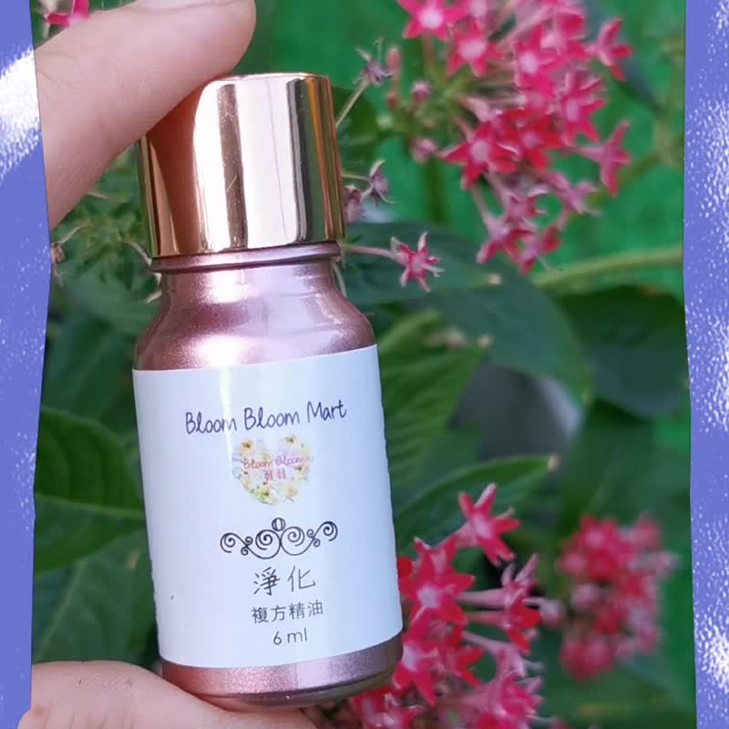 淨化複方精油 Purify Essential Oil Blend - 香氛/精油/擴香 - 精油 透明