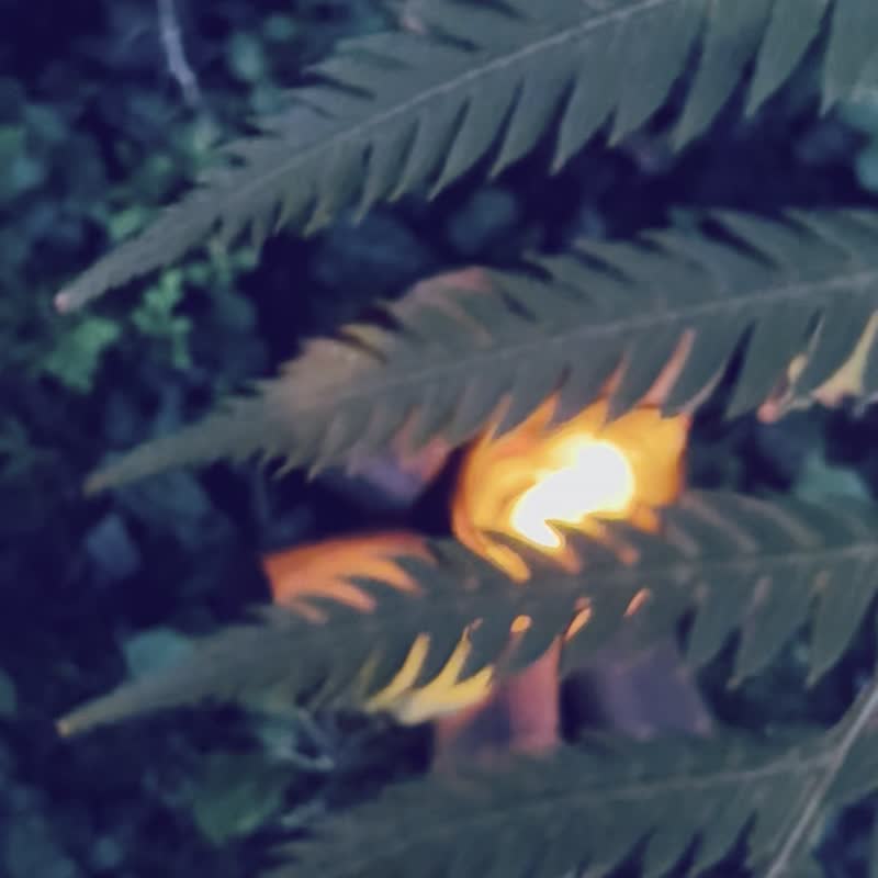 木森 Camping Fire Lamp 營火燈。。新品早鳥優惠中。。 - 燈具/燈飾 - 木頭 咖啡色
