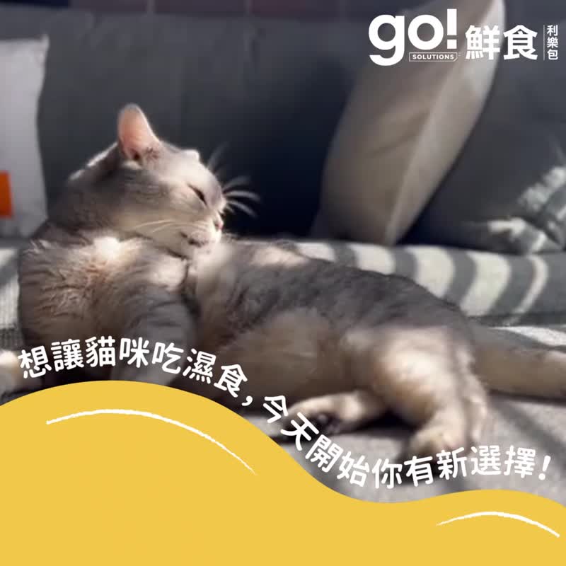 【貓主食罐】go! 野生鮭魚豐醬 鮮食餐包 貓罐 皮毛保健 - 貓罐頭/鮮食 - 新鮮食材 