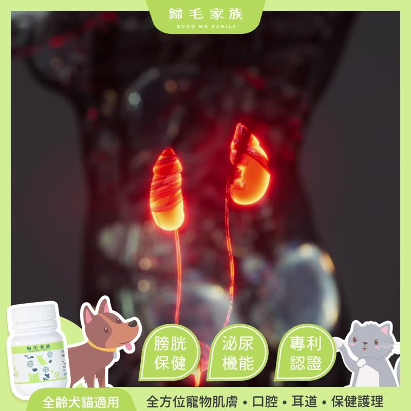【歸毛家族】Good寶系列寵物保健品－泌尿寶 4入組 - 其他 - 其他材質 