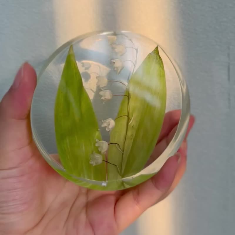 鈴蘭標本 植物標本禮物 - 擺飾/家飾品 - 樹脂 