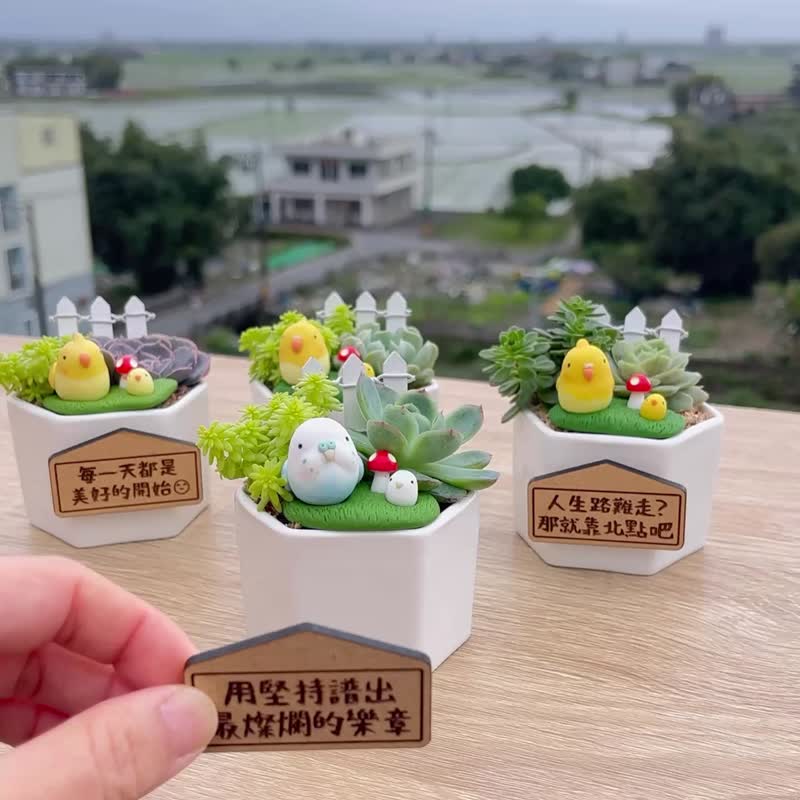 軟陶萌鸚鵡系列-多肉植物微景觀六角盆栽(附磁鐵字牌) - 植栽/盆栽 - 瓷 白色