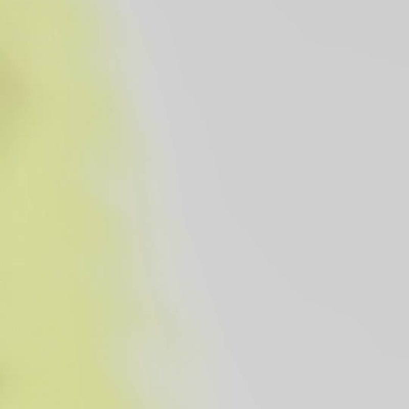 silkmaster × Kikagakugirl Skateboards - Posters - Wood Multicolor