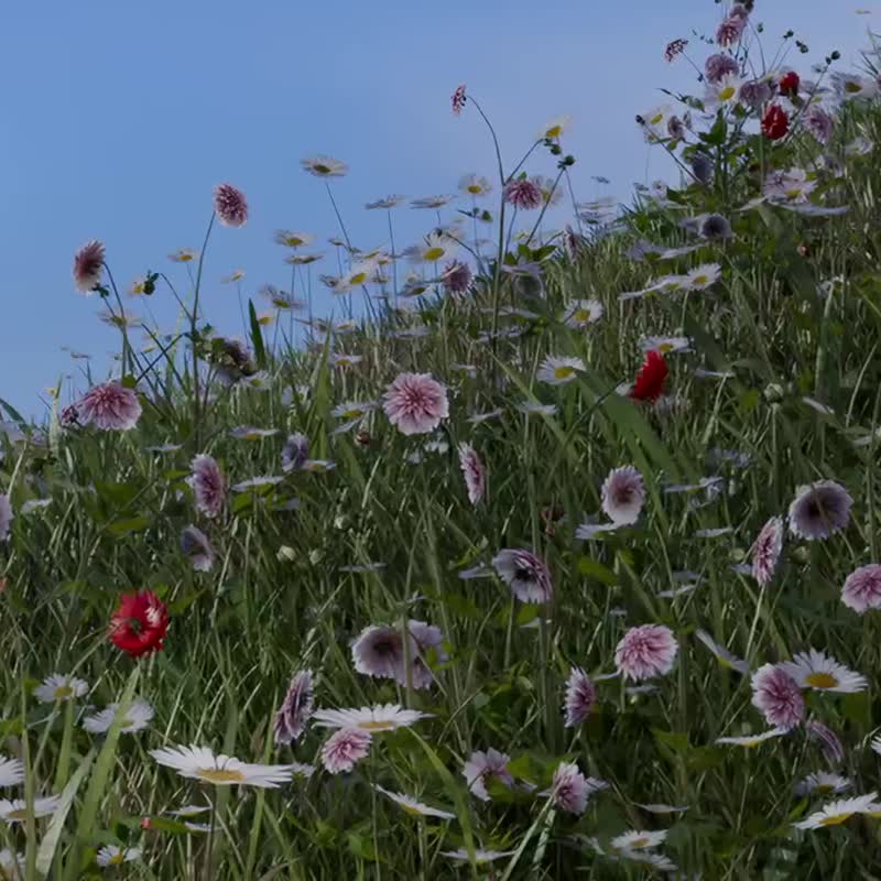 OVERDIGIX麗莎和卡斯柏 iPhone17~15 Pure磁吸版晶透抗黃防摔殼 - 手機殼/手機套 - 塑膠 