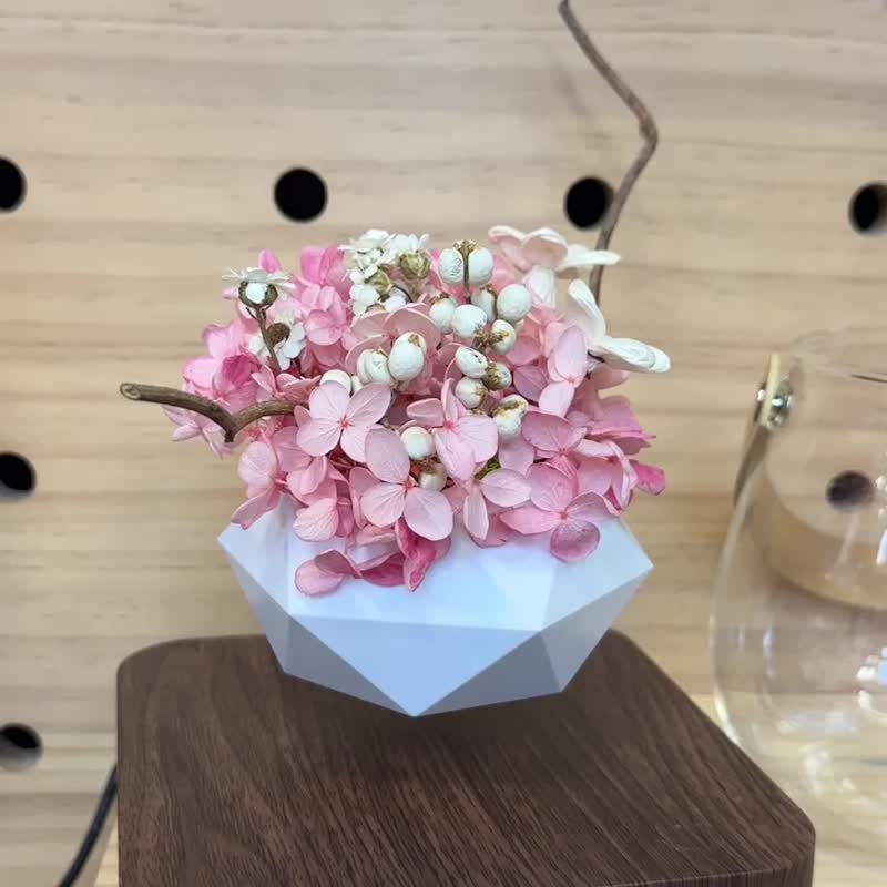 懸浮系列-永生花 - 香氛/精油/擴香 - 植物．花 金色