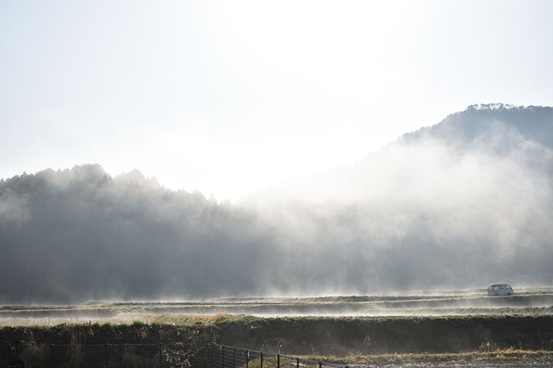 霧の朝　朝霧