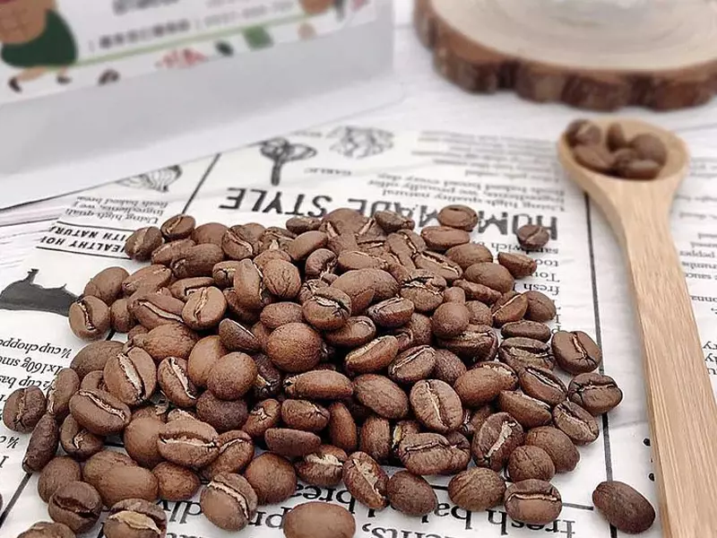 知名的牙買加藍山咖啡屬鐵皮卡品種