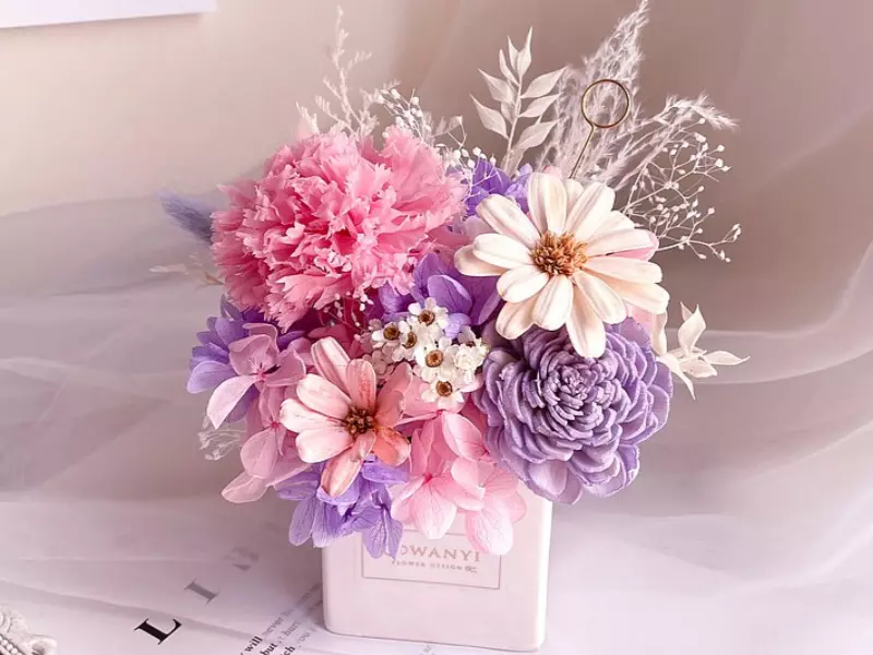 母親節花束推薦-粉紫康乃馨盆花