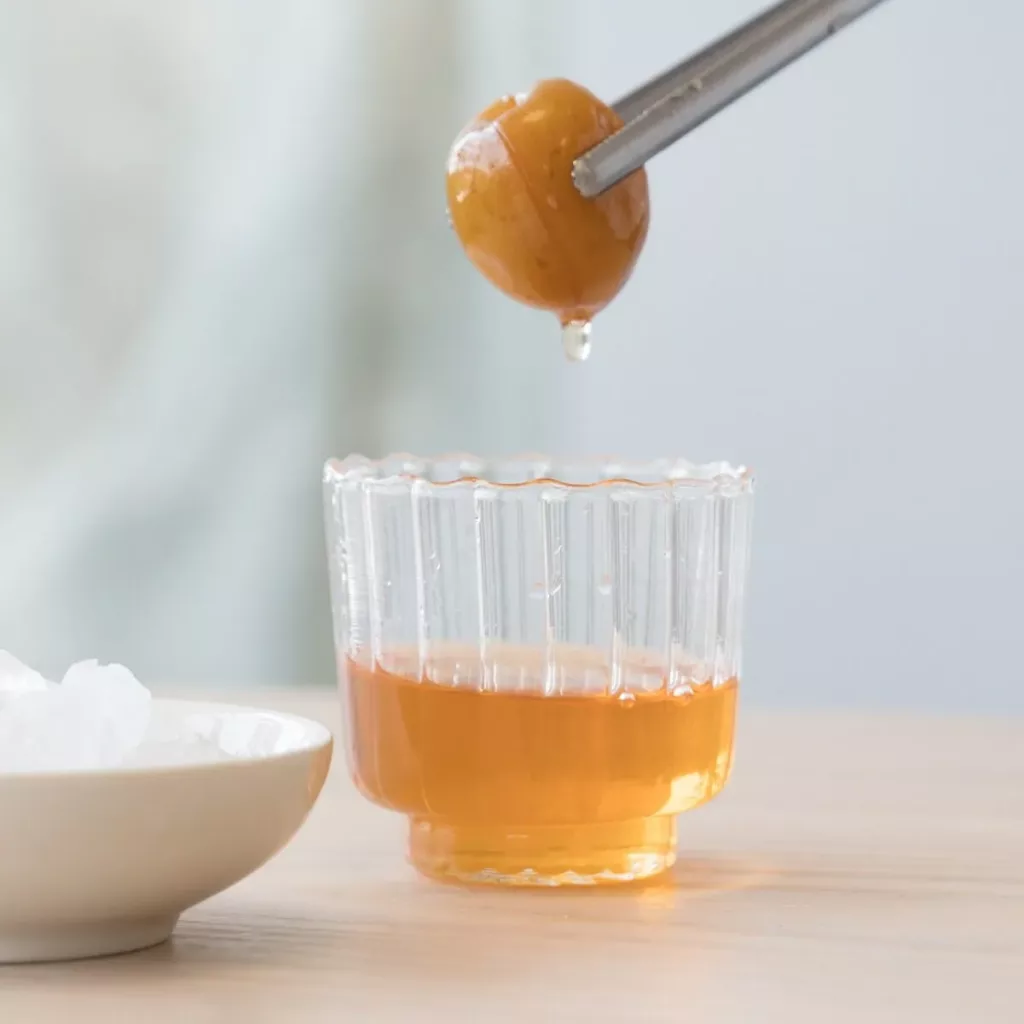 手作梅酒 DIY 材料包