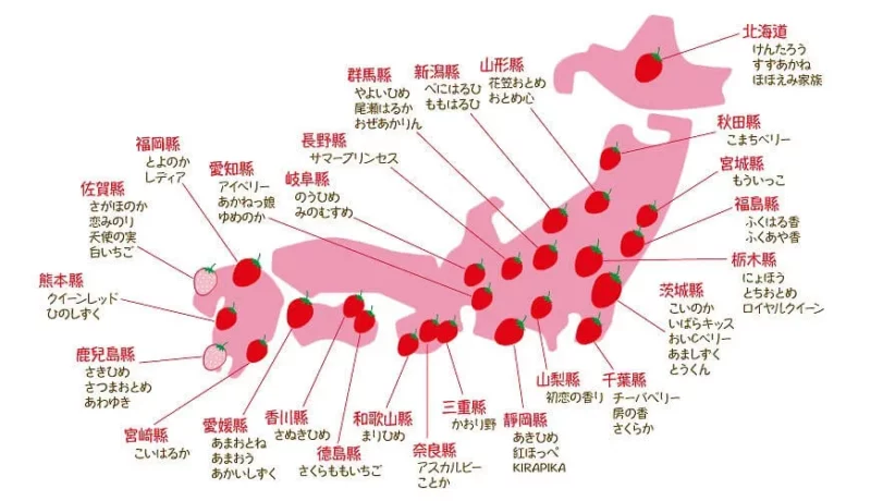 日本草莓產地