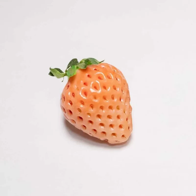日本草莓