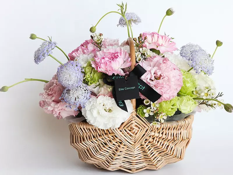 母親節花束：一禮莊園 提籃式春天康乃馨盆花