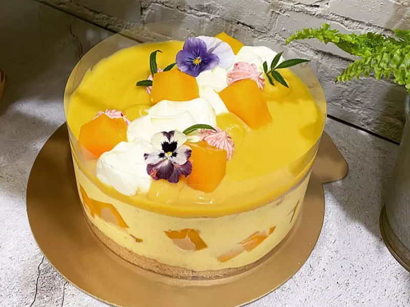 【塔西躲貓貓】芒果蛋糕