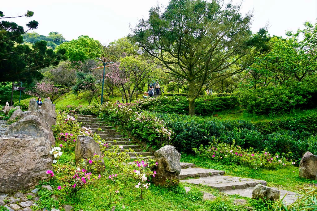 約會行程推薦：陽明山國家公園