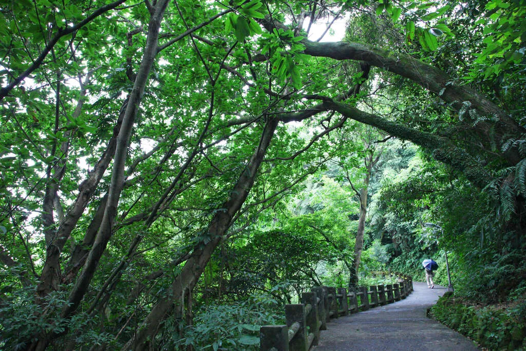 台北爬山景點：仙跡岩親山步道