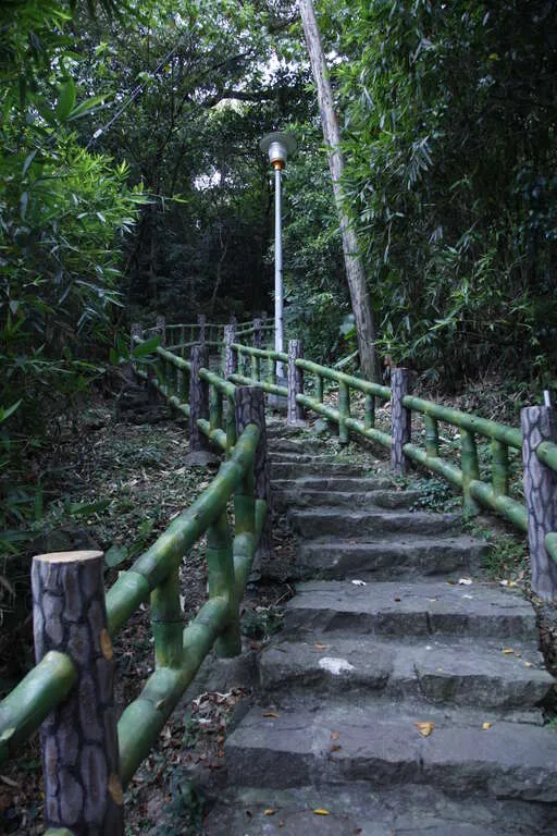 台北爬山景點：貴子坑親山步道