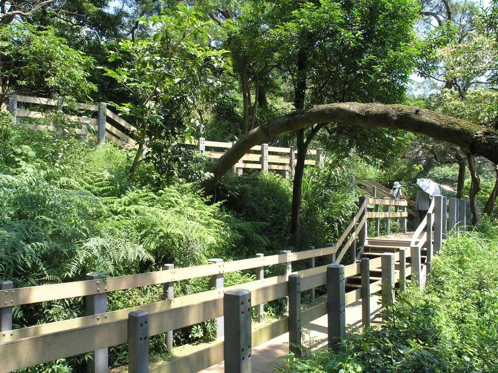 台北爬山景點：虎山親山步道