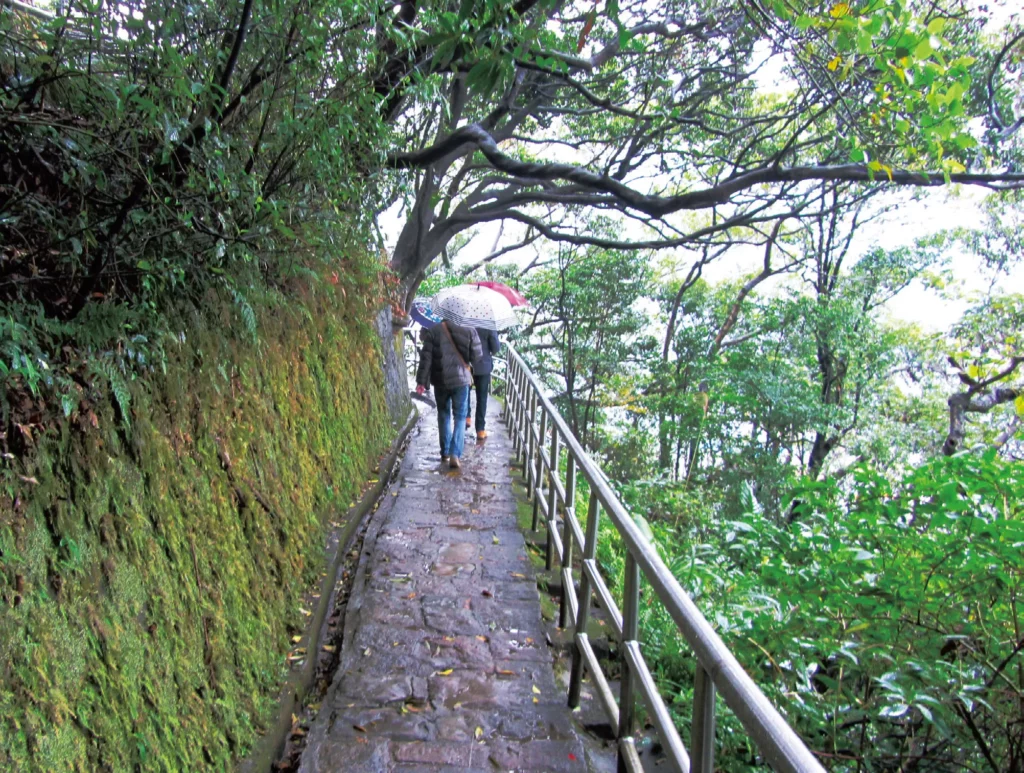 台北爬山景點：白鷺鷥山親山步道