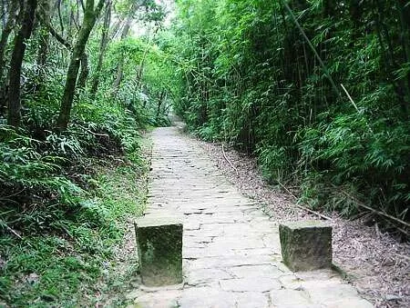 台北爬山景點：大崙頭尾山親山步道