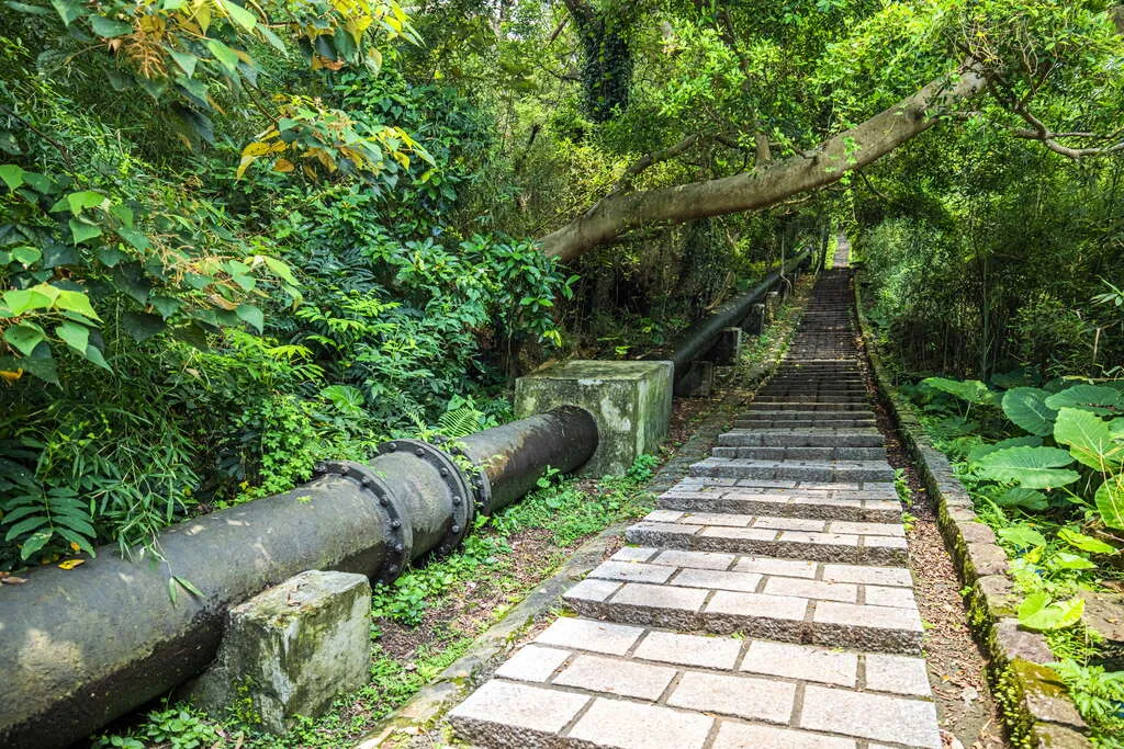 台北爬山景點：天母古道親山步道