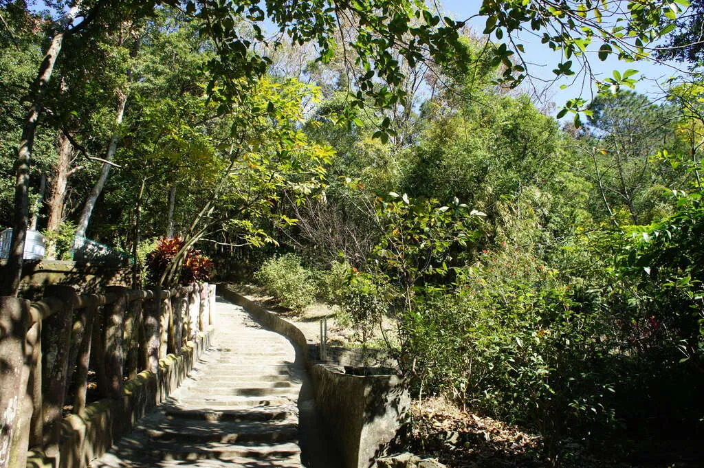 台北爬山景點：忠義山親山步道