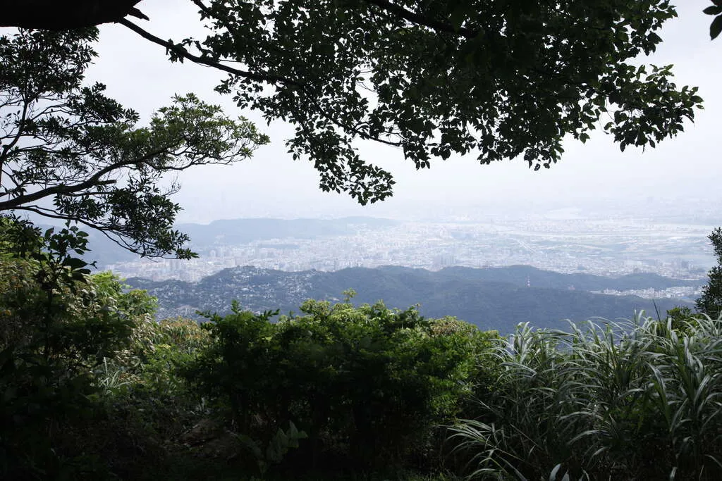 台北爬山景點：中正山親山步道