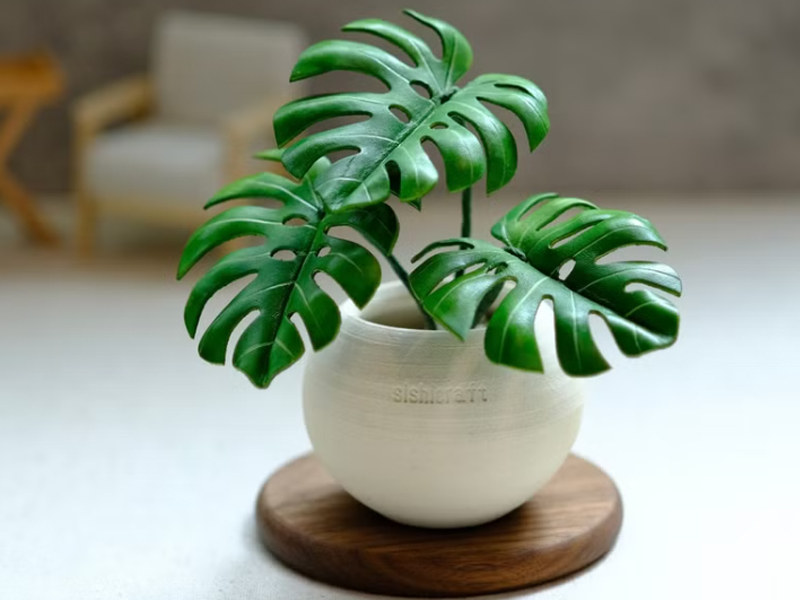 龜背芋照顧 SISHICRAFT 肆拾革製 龜背芋－手工革製小盆栽